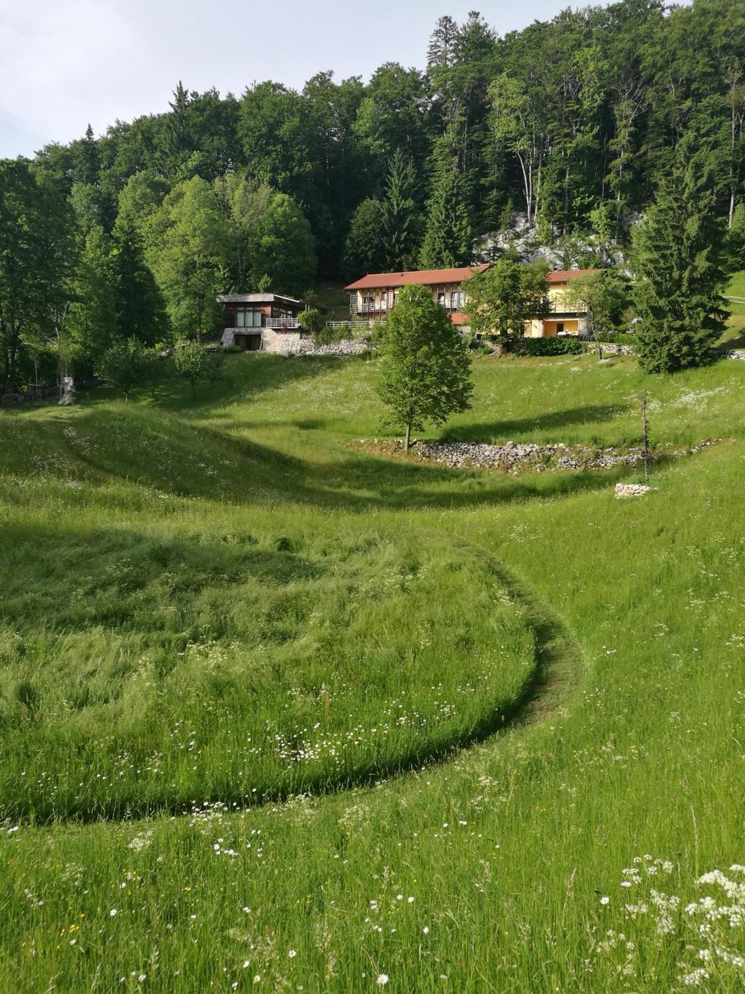 Apartmán Posestvo Laz - The Laz Estate Voglarji Exteriér fotografie